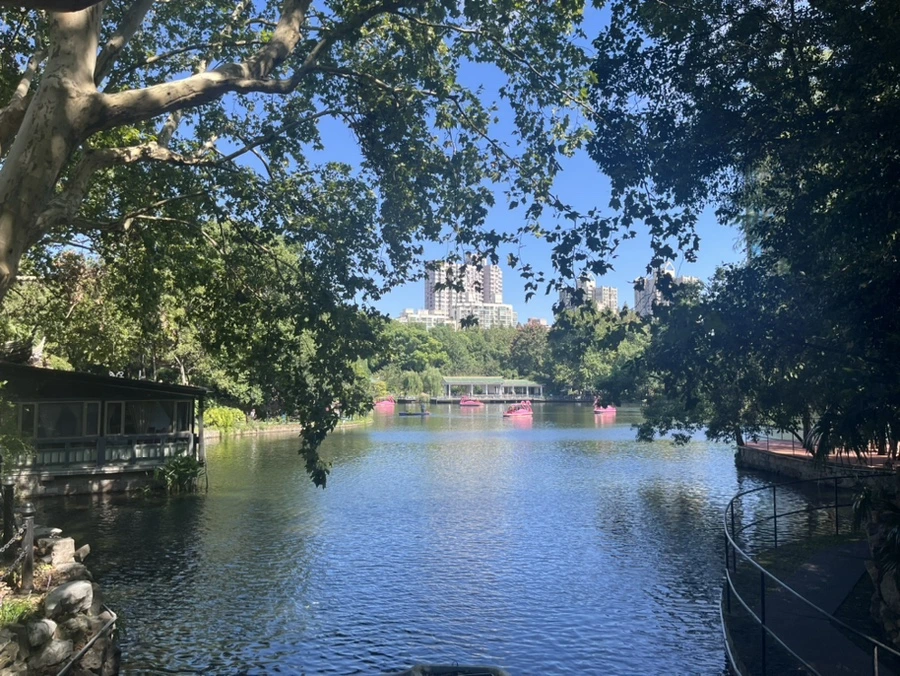 IMG_0048.jpg?type=w966