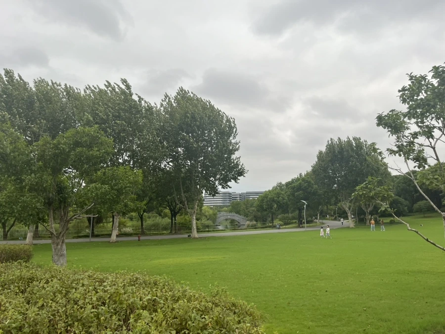 IMG_9309.jpg?type=w966