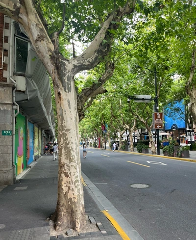 SE-9ACF39AE-4762-49A4-8175-04791B911853.jpg?type=w466