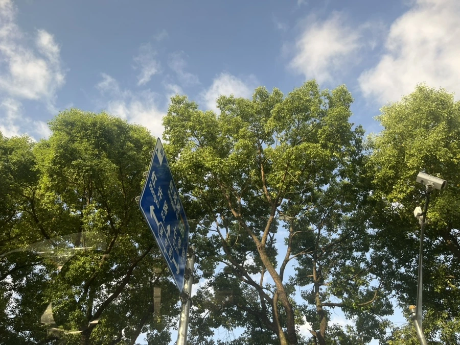 IMG_9501.jpg?type=w966