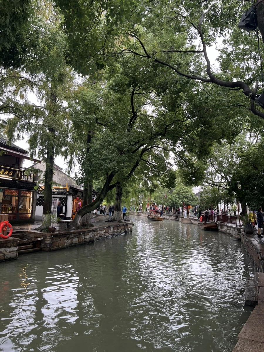 IMG_0486.jpg?type=w966