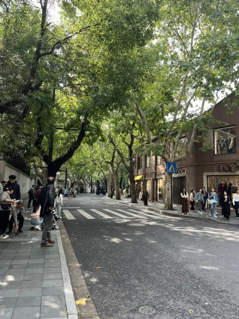 IMG_1131.jpg?type=w466