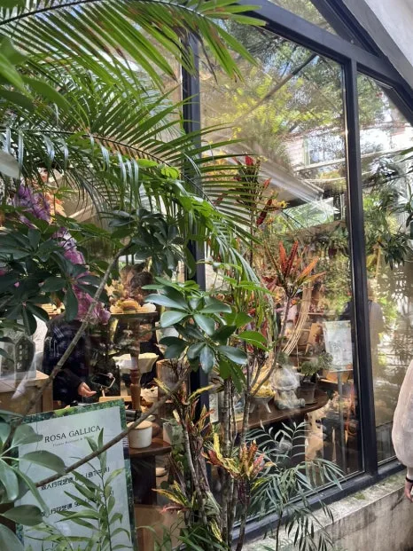 IMG_1134.jpg?type=w466