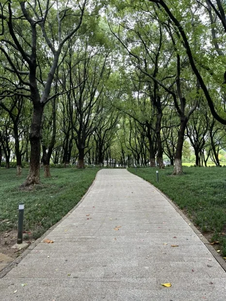 IMG_1049.jpg?type=w466