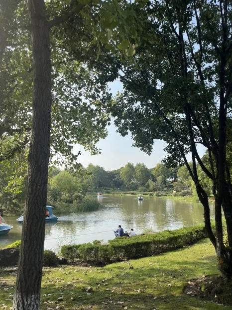 IMG_1199.jpg?type=w466