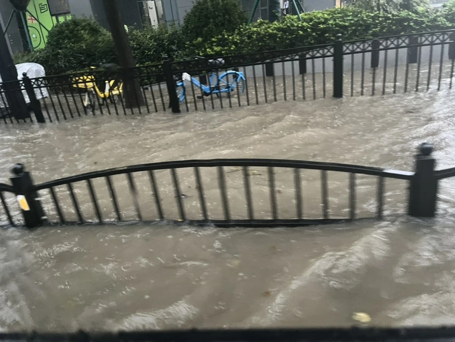 IMG_9292.jpg?type=w966