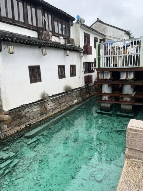 IMG_0916.jpg?type=w466