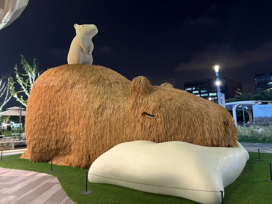 IMG_9516.jpg?type=w966