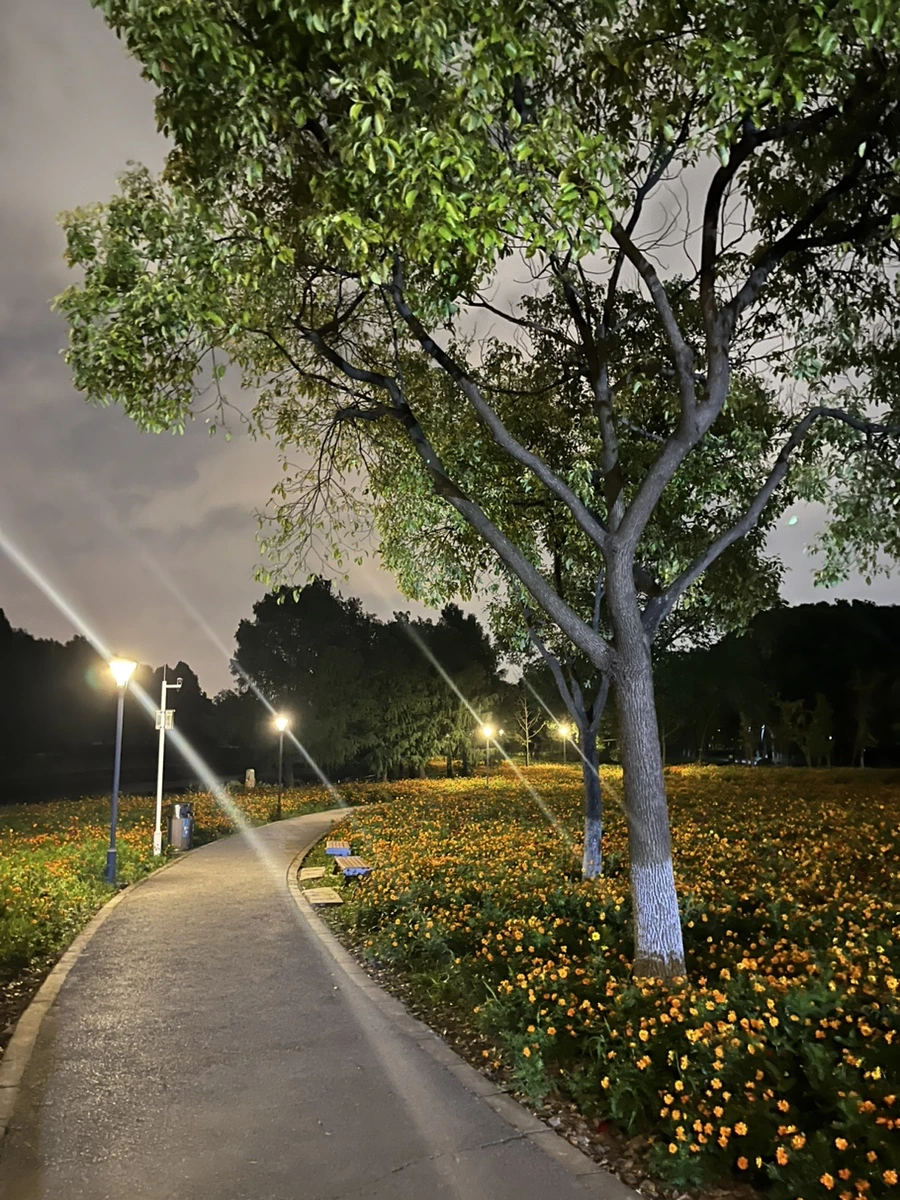 IMG_1112.jpg?type=w966