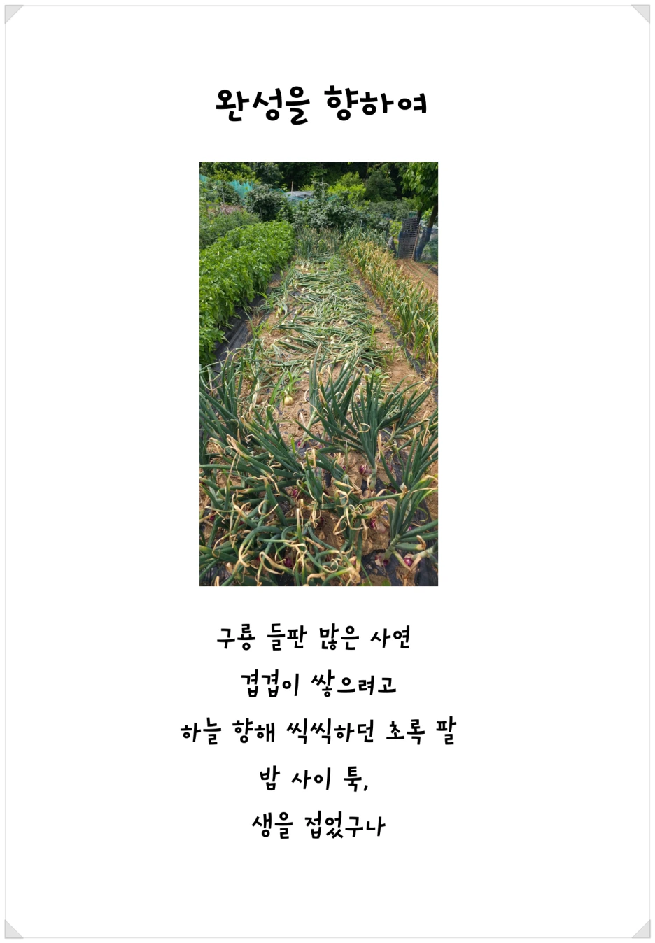 SE-4895e7d5-9f99-4fa9-92ae-456fcce49f56.png?type=w1