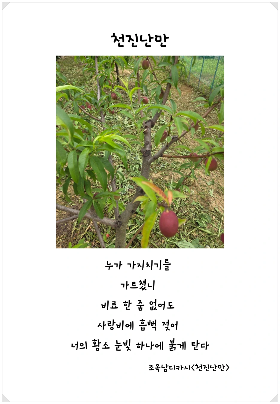 SE-383d85ee-d9a5-4a1b-b3eb-896522122bed.png?type=w1