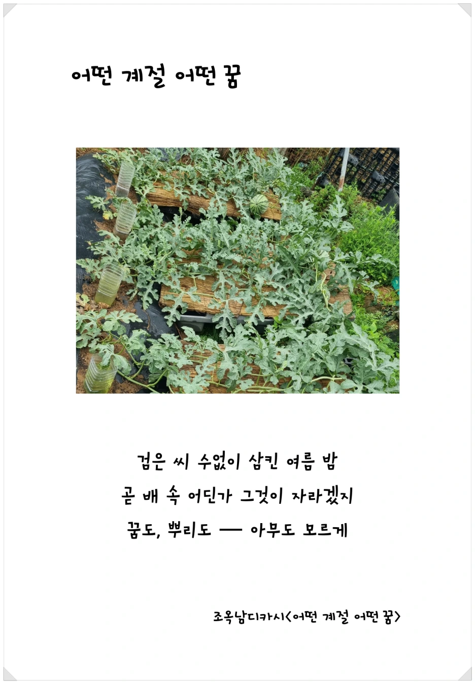 SE-95ccfd5b-3fb6-44bb-a51f-9ff1e3a03ff8.png?type=w1