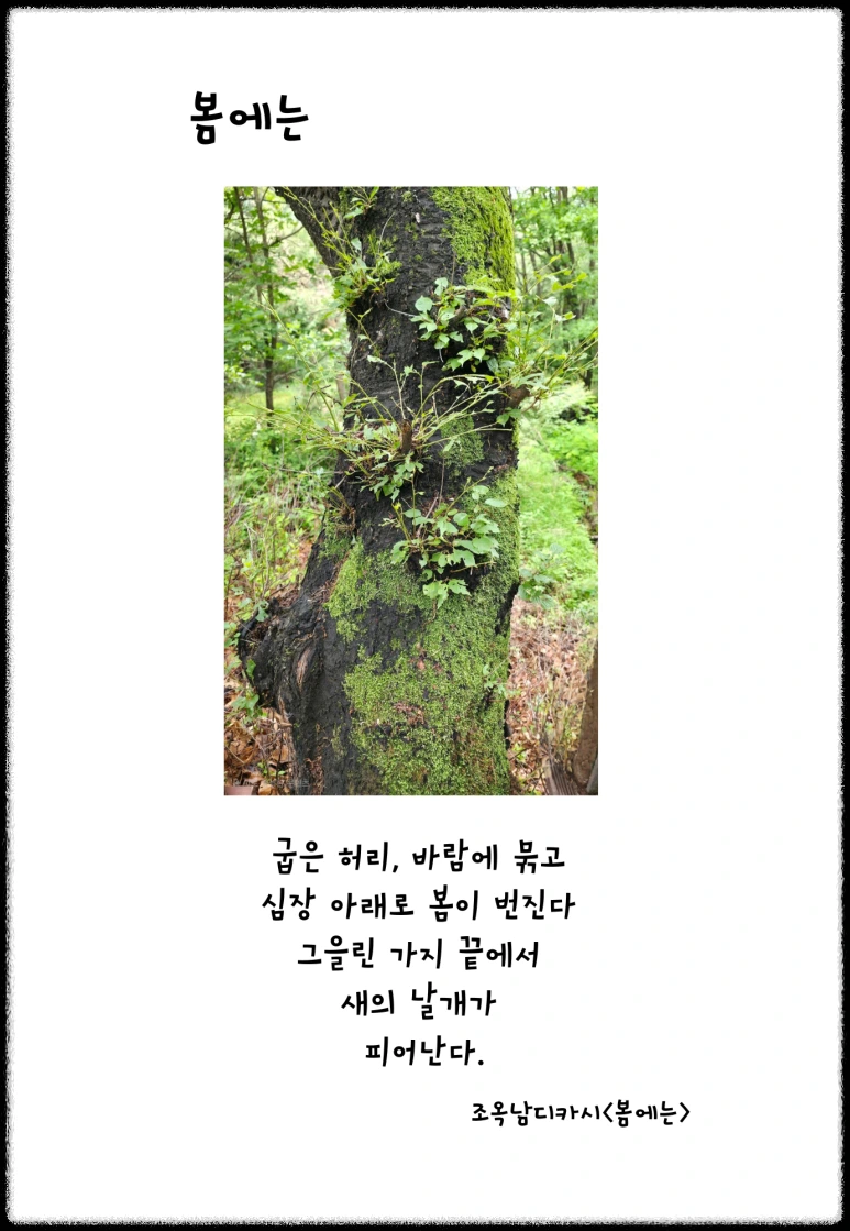 %EB%B4%84%EC%97%90%EB%8A%94.png?type=w773