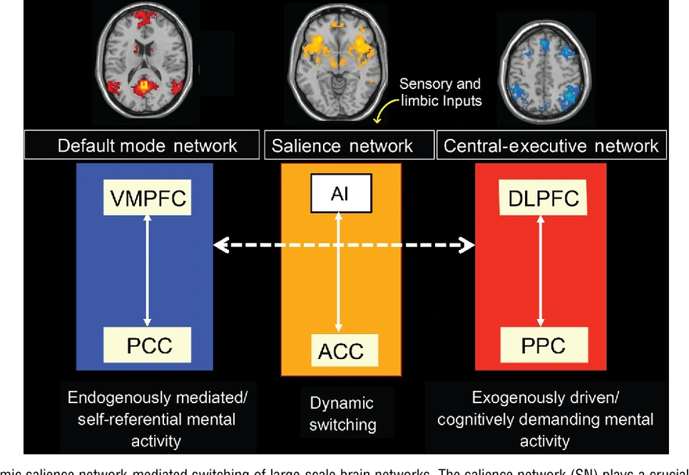 10-Figure11-1_(1).png?type=w966
