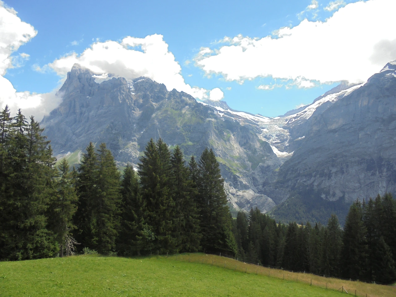 20170713 40일간 유럽15개국 여행 스위스 융프라우 근처 First Mountain (52).JPG