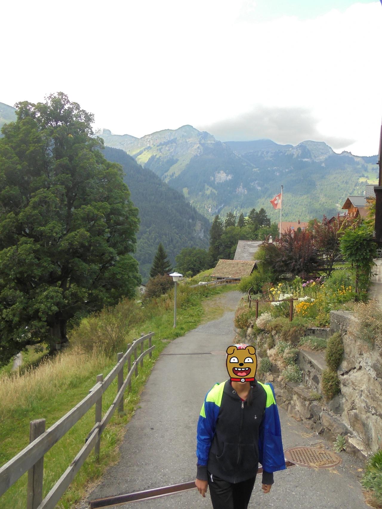 20170714 40일간 유럽15개국 여행 스위스 융프라우 기차와 곤돌라, 케이블카 타고 구경, Thun호수 (128).JPG