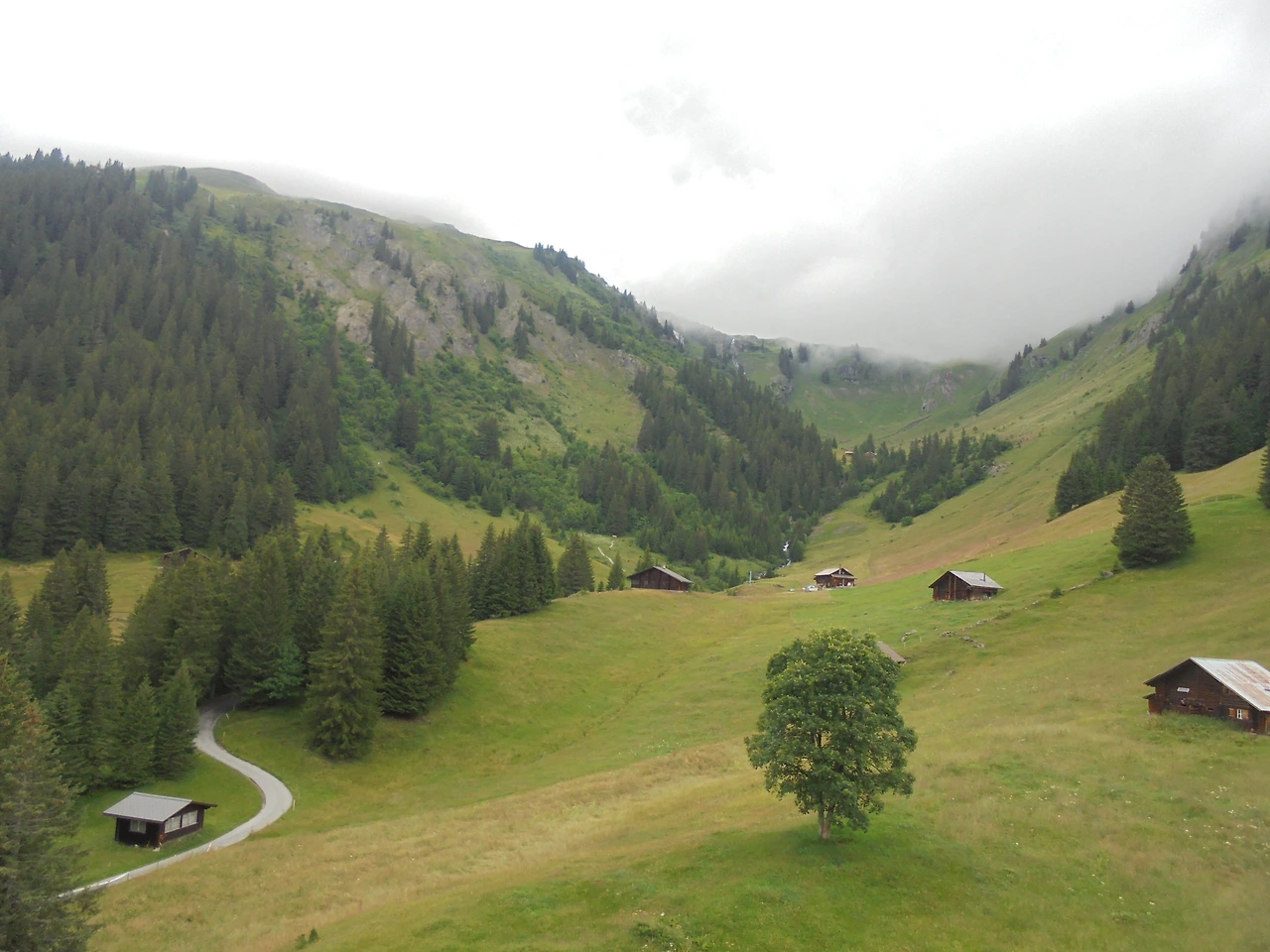 20170714 40일간 유럽15개국 여행 스위스 융프라우 기차와 곤돌라, 케이블카 타고 구경, Thun호수 (25).JPG