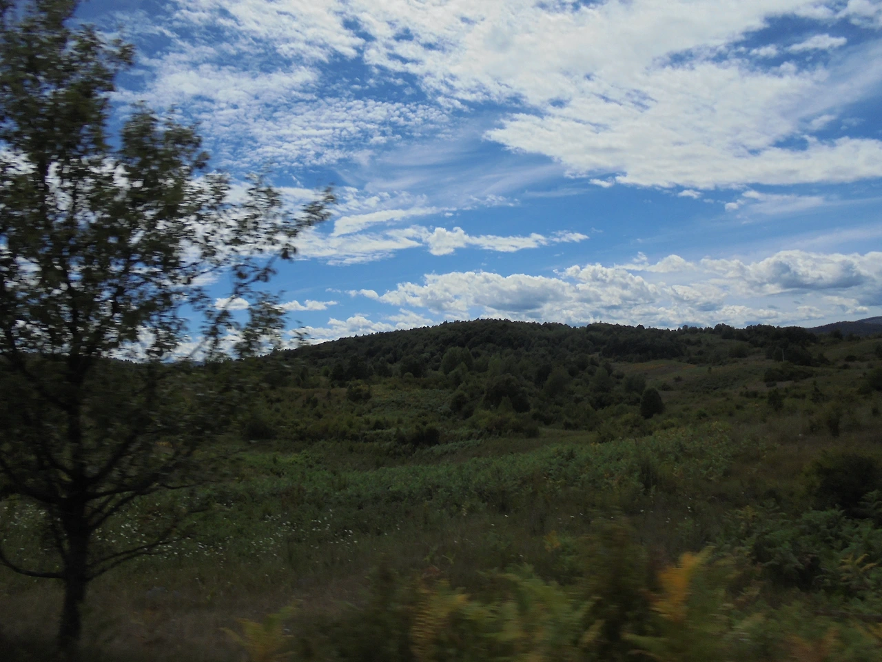 20170727 40일간 유럽15개국 여행 크로아티아 로빈에서 라스토케 거쳐 플리트비체까지 (36).JPG