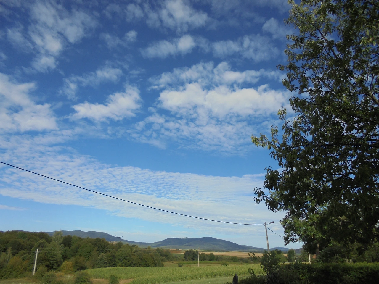 20170728 40일간 유럽15개국 여행 크로아티아 플리트비체 호수 국립공원 (4).JPG