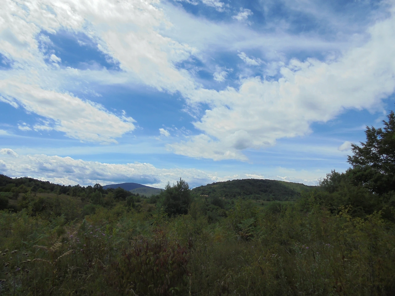 20170727 40일간 유럽15개국 여행 크로아티아 로빈에서 라스토케 거쳐 플리트비체까지 (40).JPG