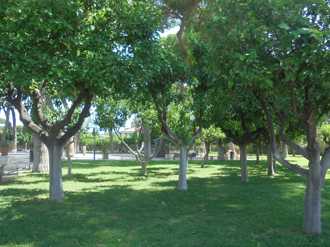20170720 40일간 유럽15개국 여행 걸어서 로마 St.천사의 성, 테베레 강, 오렌지 정원, 아벤티노 언덕, 장미정원 (66).JPG