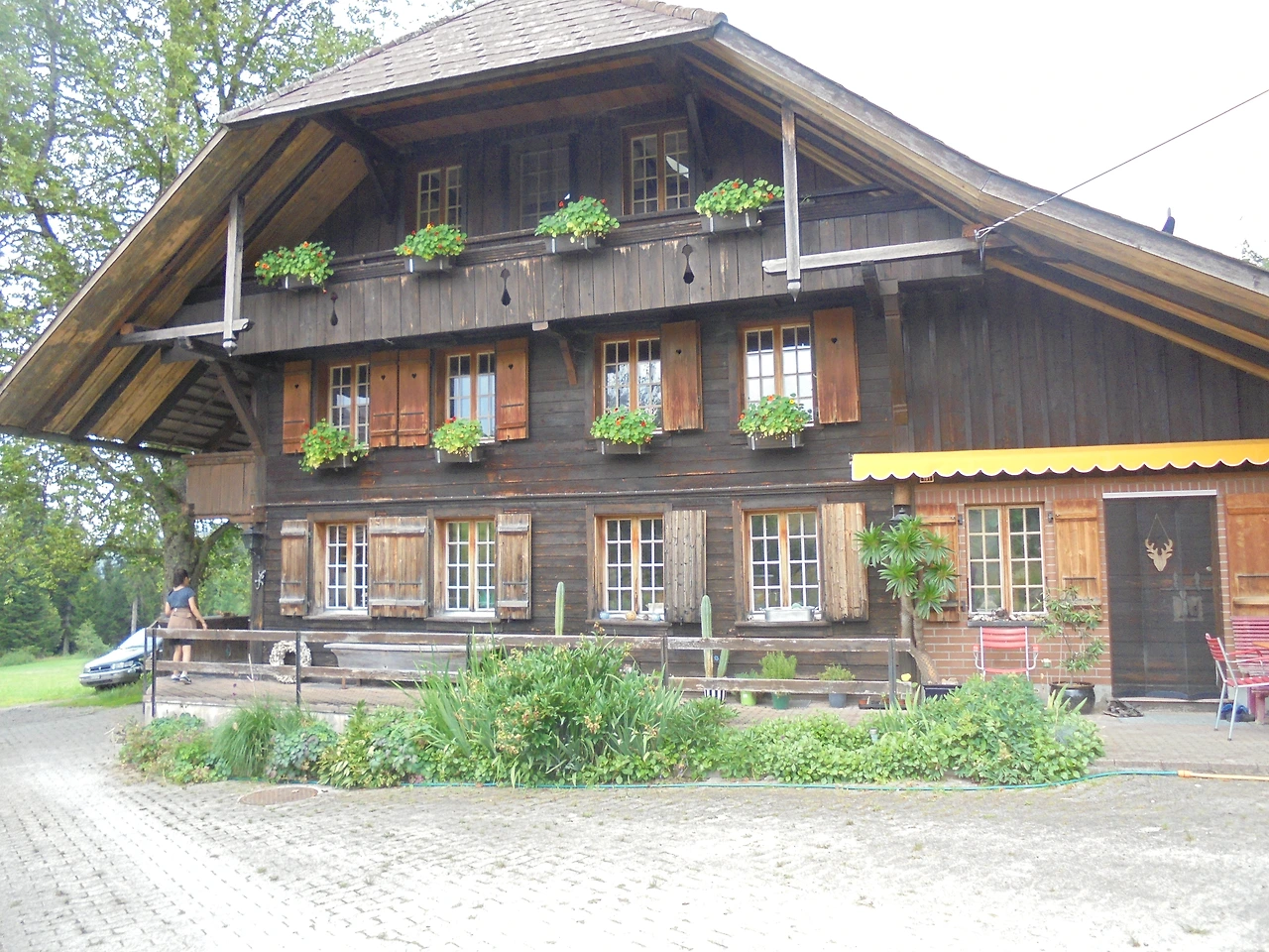 20170713 40일간 유럽15개국 여행 스위스 융프라우 근처 First Mountain (180).JPG