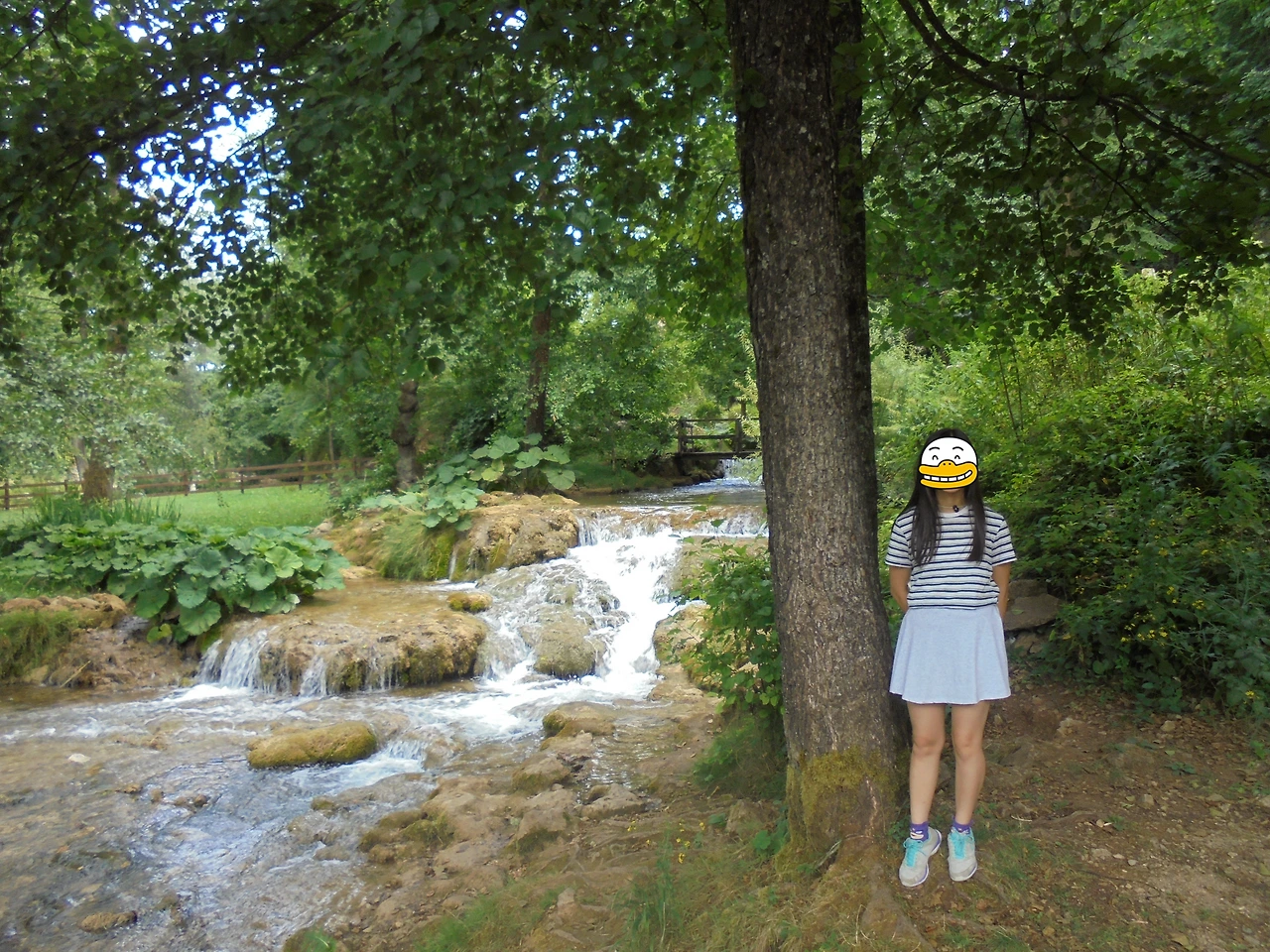 20170727 40일간 유럽15개국 여행 크로아티아 로빈에서 라스토케 거쳐 플리트비체까지 (91).JPG