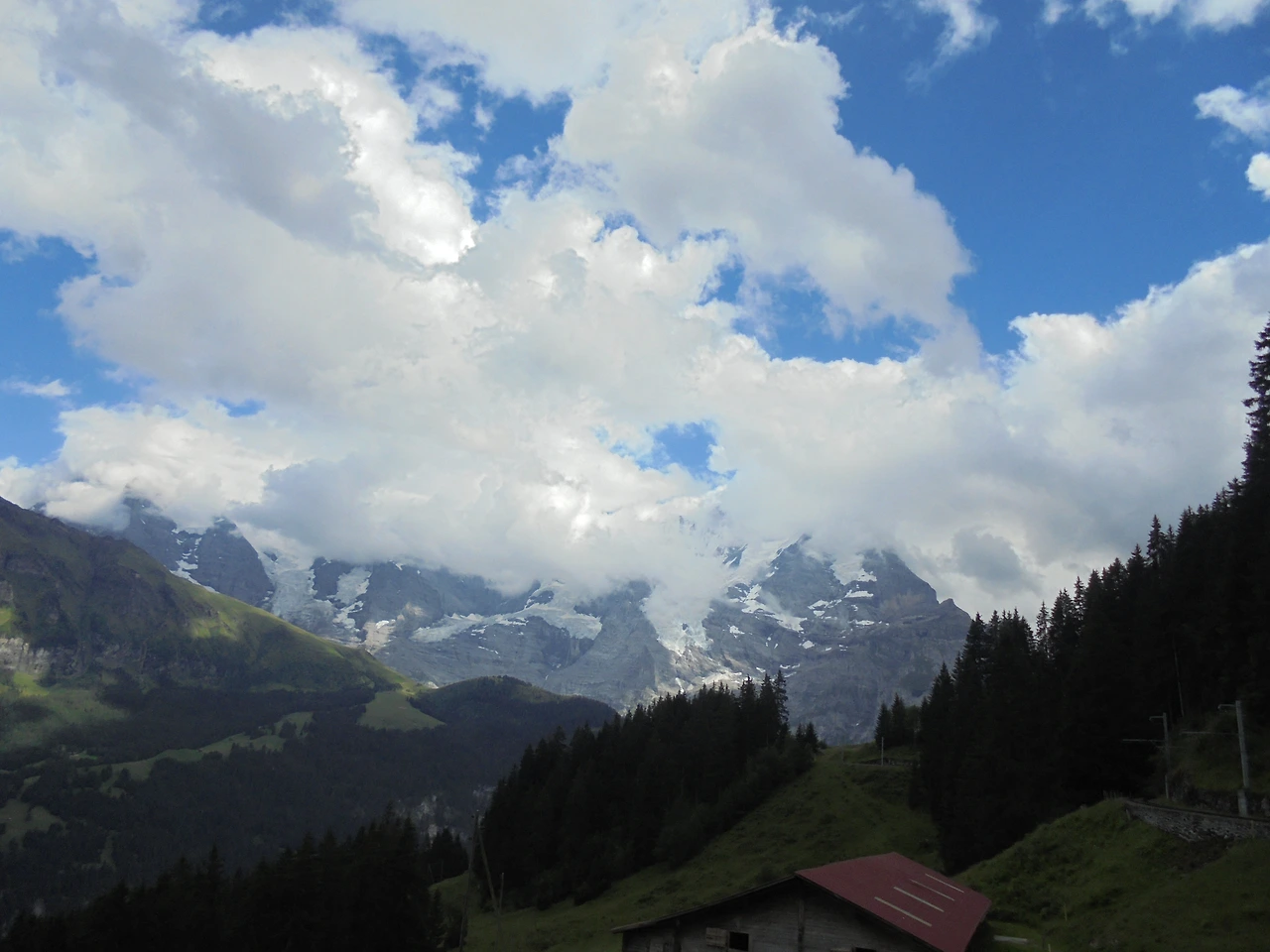 20170714 40일간 유럽15개국 여행 스위스 융프라우 기차와 곤돌라, 케이블카 타고 구경, Thun호수 (225).JPG