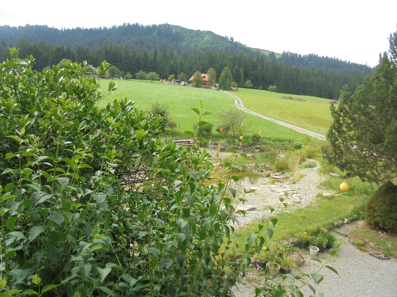 20170716 40일간 유럽15개국 여행 스위스 인터라켄에서 제네바를 거쳐 프랑스쪽 몽블랑 (61).JPG