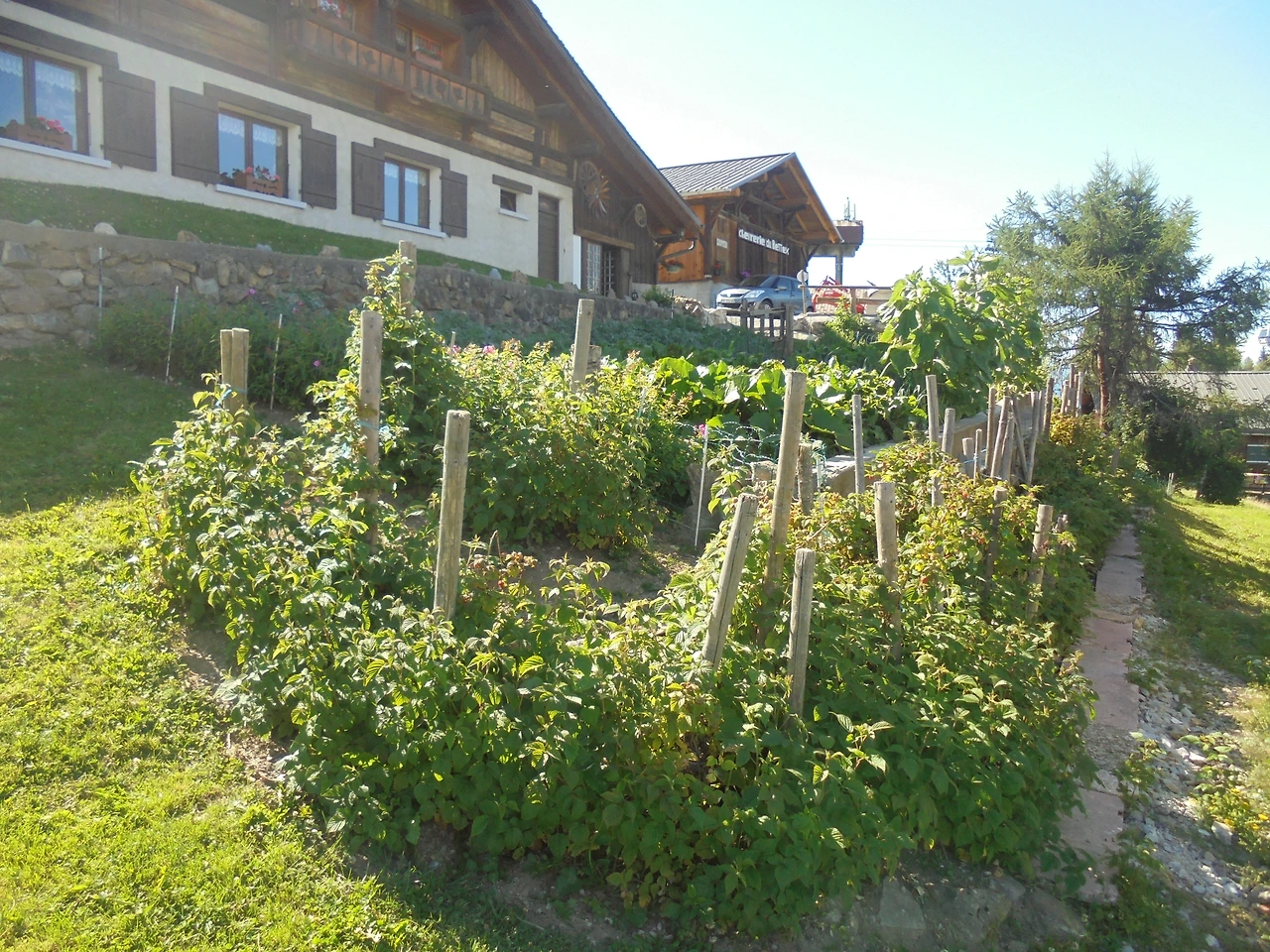 20170716 40일간 유럽15개국 여행 스위스 인터라켄에서 제네바를 거쳐 프랑스쪽 몽블랑 (81).JPG