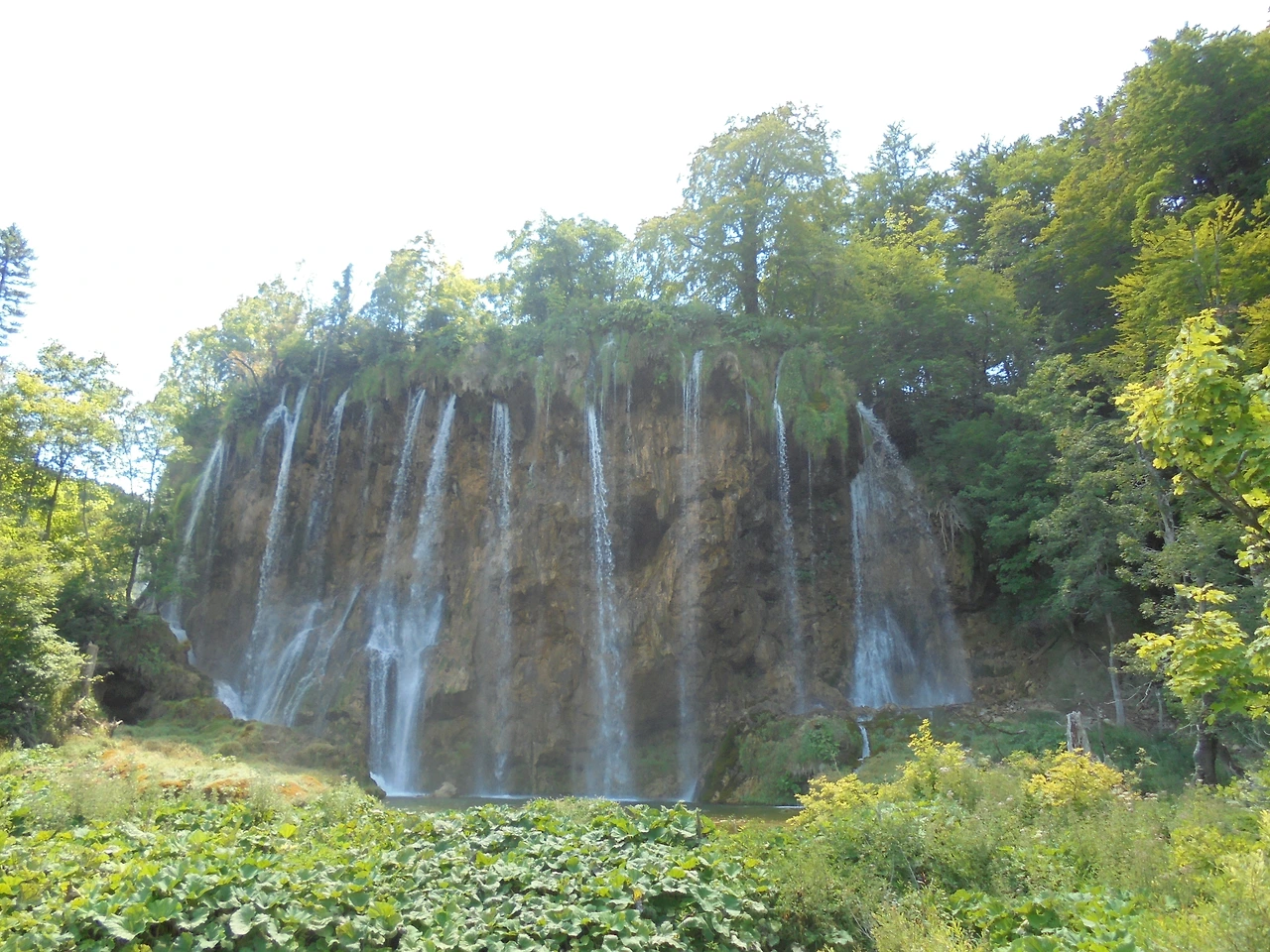 20170728 40일간 유럽15개국 여행 크로아티아 플리트비체 호수 국립공원 (242).JPG