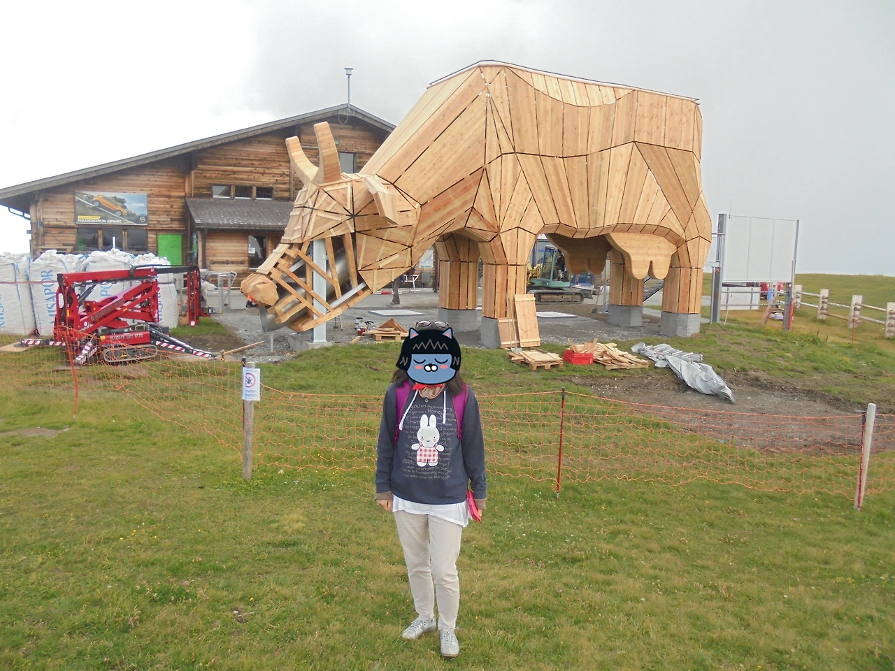 20170714 40일간 유럽15개국 여행 스위스 융프라우 기차와 곤돌라, 케이블카 타고 구경, Thun호수 (88).JPG
