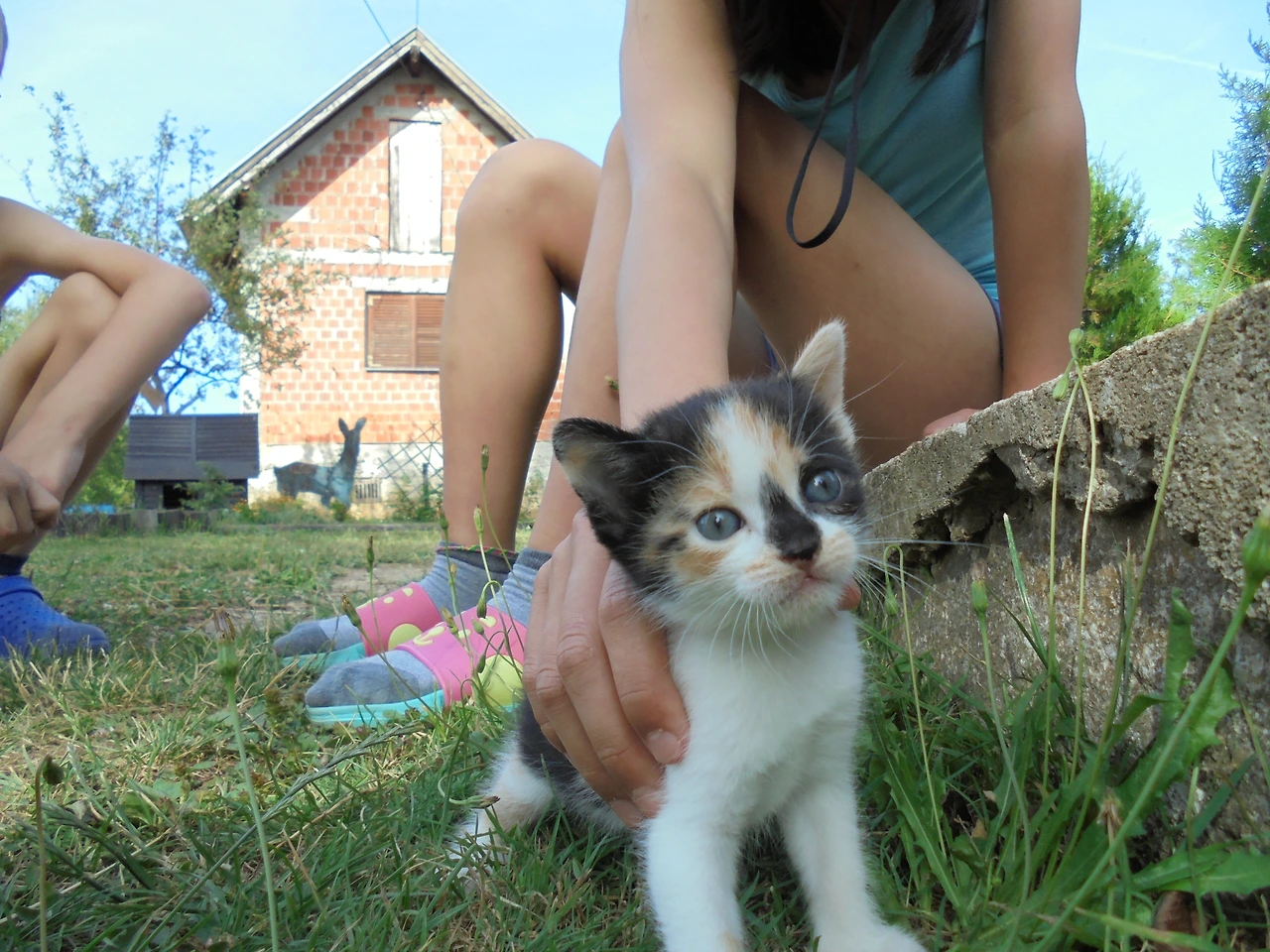 20170727 40일간 유럽15개국 여행 크로아티아 로빈에서 라스토케 거쳐 플리트비체까지 (205).JPG