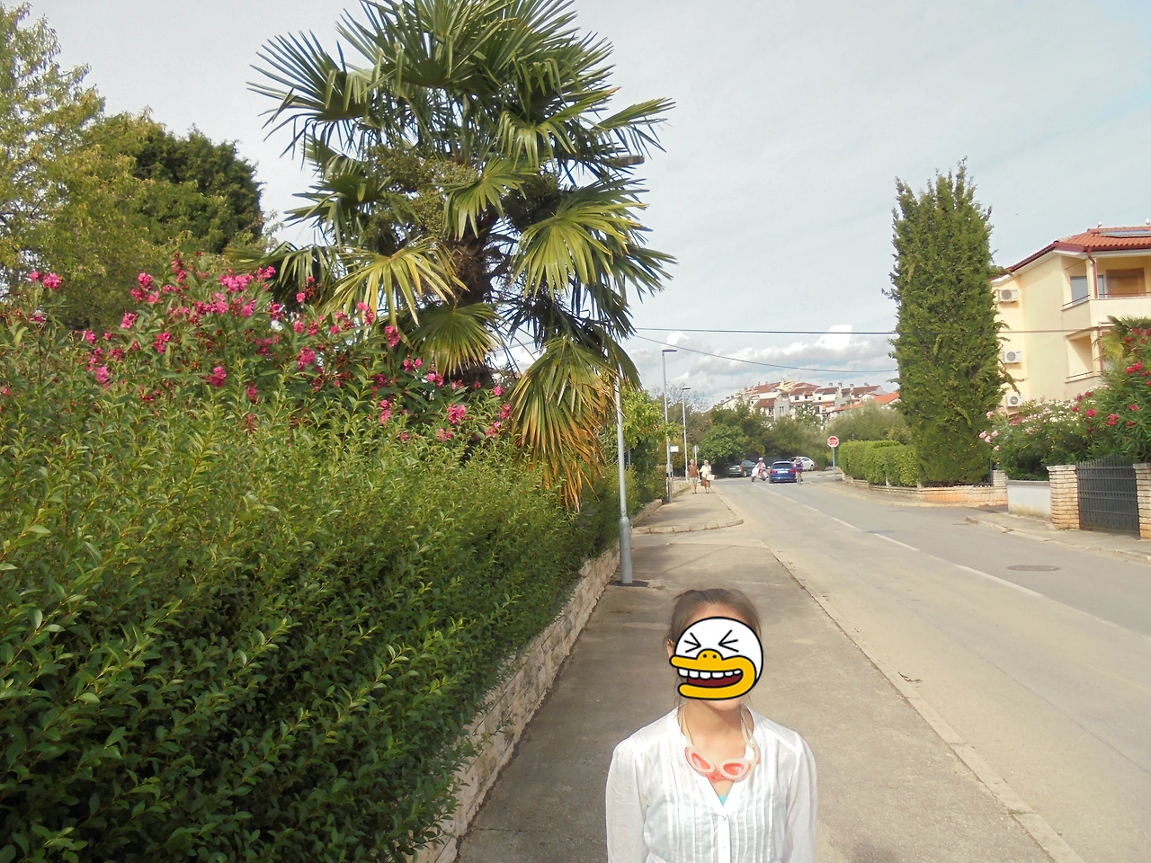 20170726 40일간 유럽15개국 여행 크로아티아 로빈(로비니)에서 로빈 시내, Balbi's Arch, Church of St.Euphemia, Rovinj Beach (139).JPG