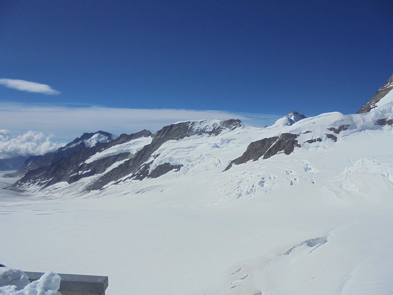 20170715 40일간 유럽15개국 여행 융프라우, Schynige Platte (103).JPG