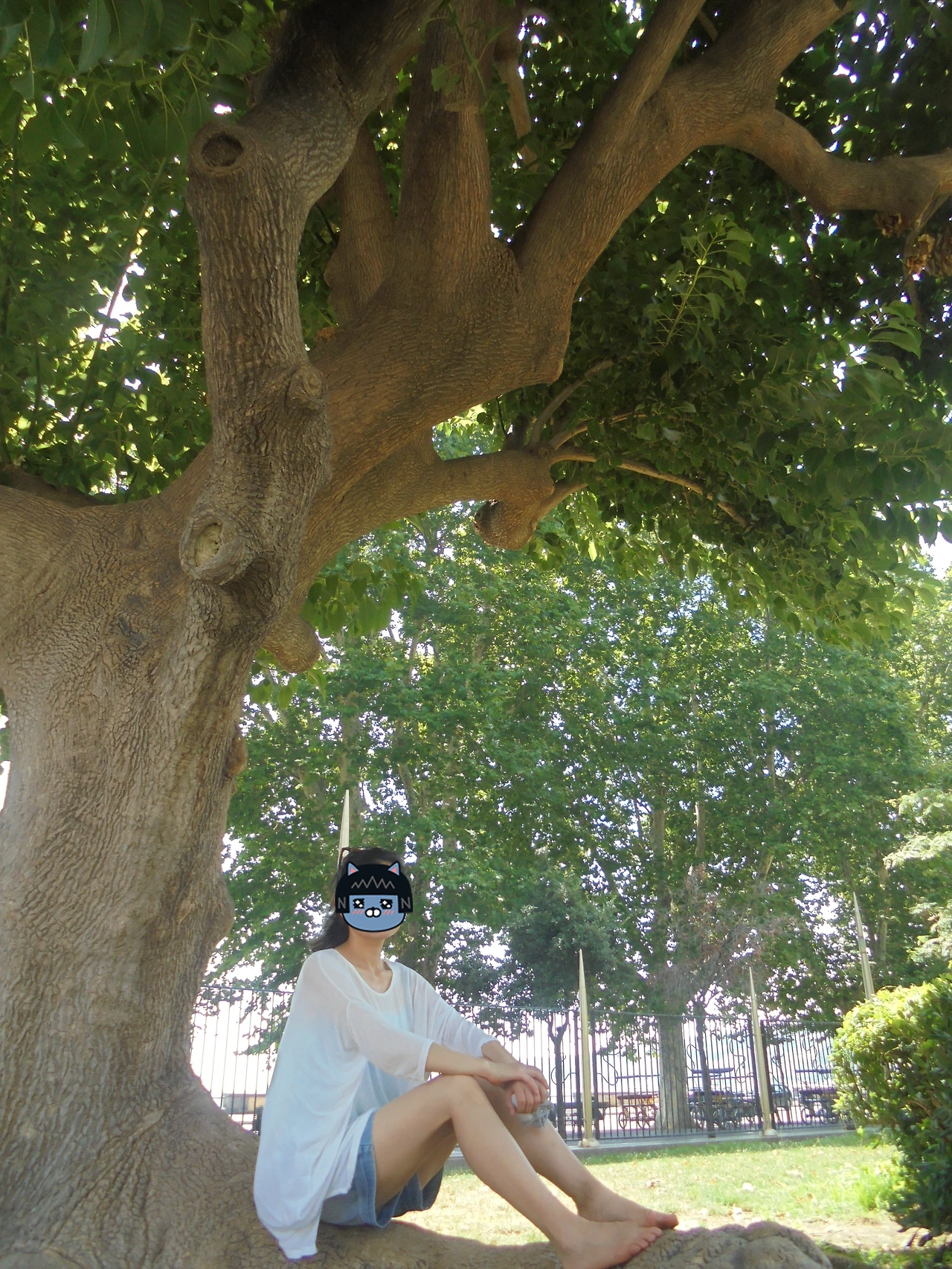 20170722 40일간 유럽15개국 여행 나폴리의 Sant'Elmo 성, Vittoria 광장, Ovo성, Plebiscito 광장, Royal Palace of Naples과 성당, San Carlo 극장, Nuovo성 (107).JPG