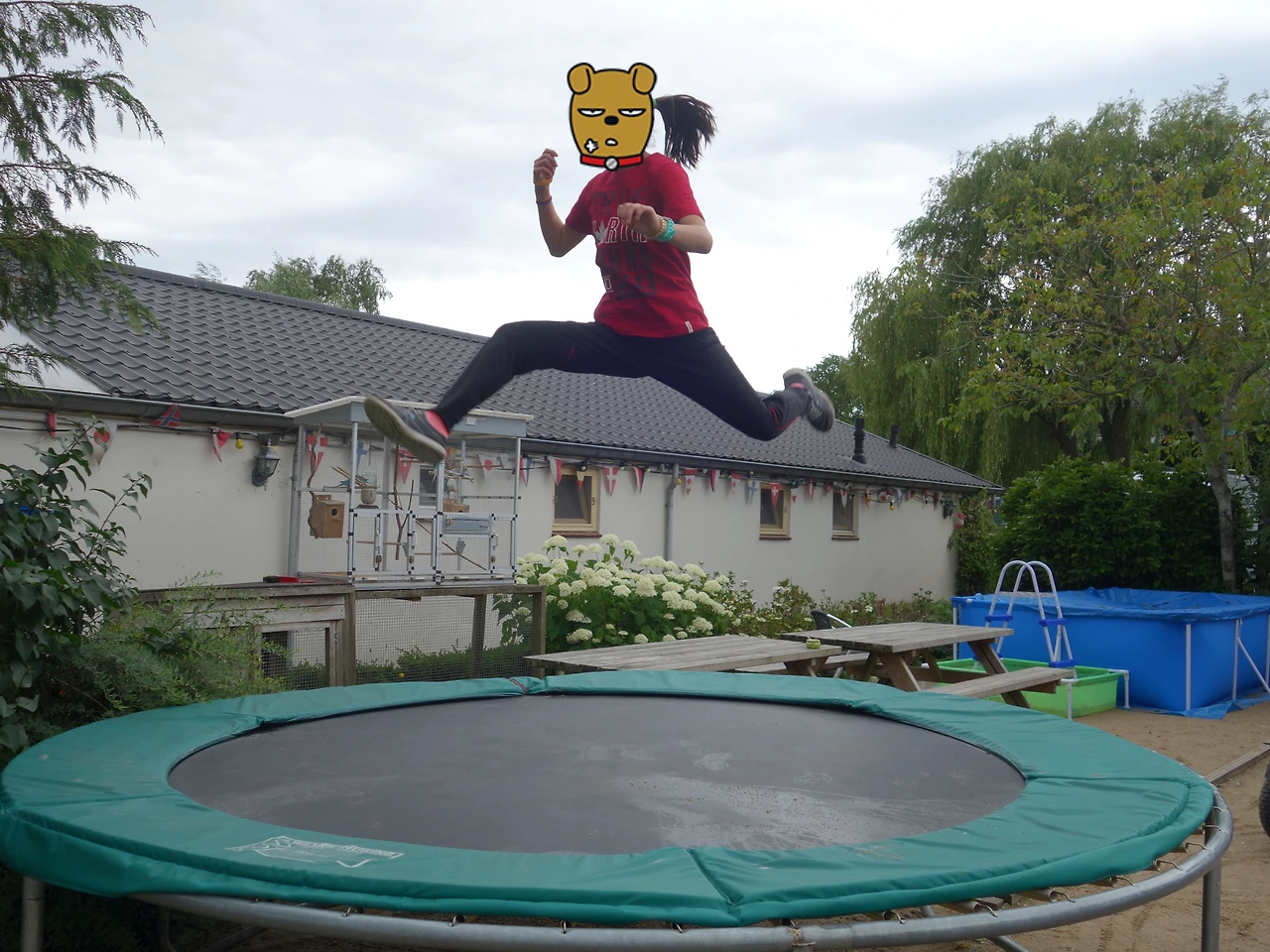 20170701 40일간 유럽15개국 여행 쾰른 대성당을 거쳐 네덜란드 암스테르담 (110).JPG