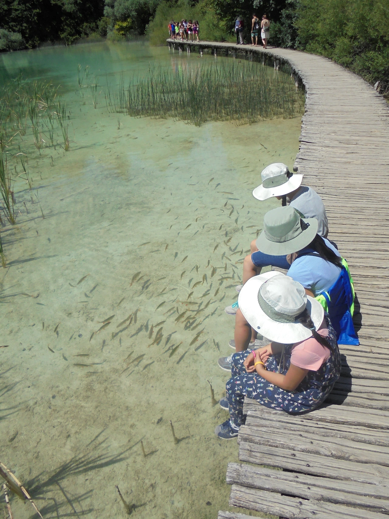 20170728 40일간 유럽15개국 여행 크로아티아 플리트비체 호수 국립공원 (185).JPG