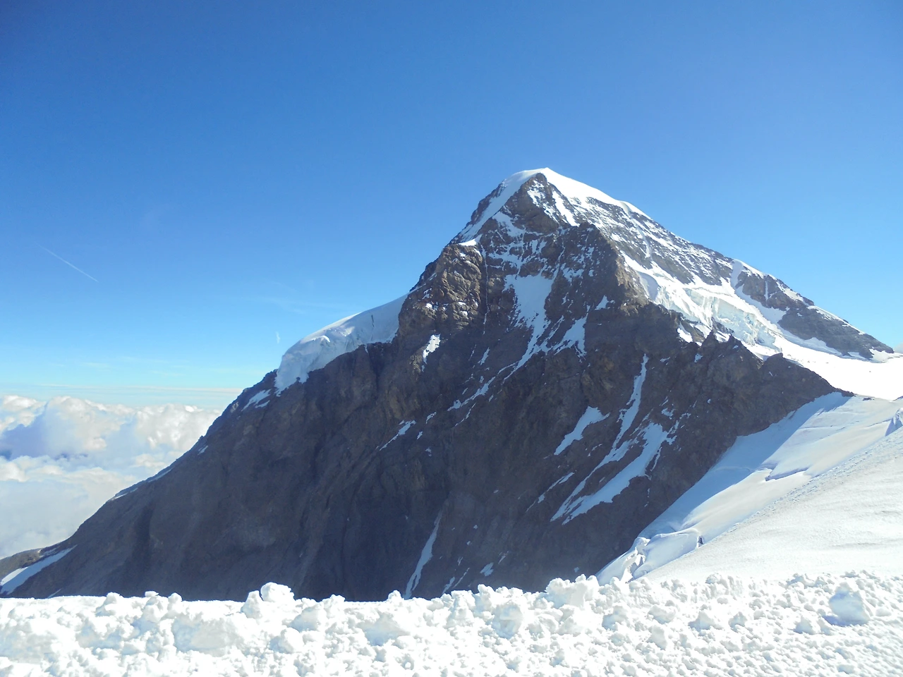 20170715 40일간 유럽15개국 여행 융프라우, Schynige Platte (105).JPG
