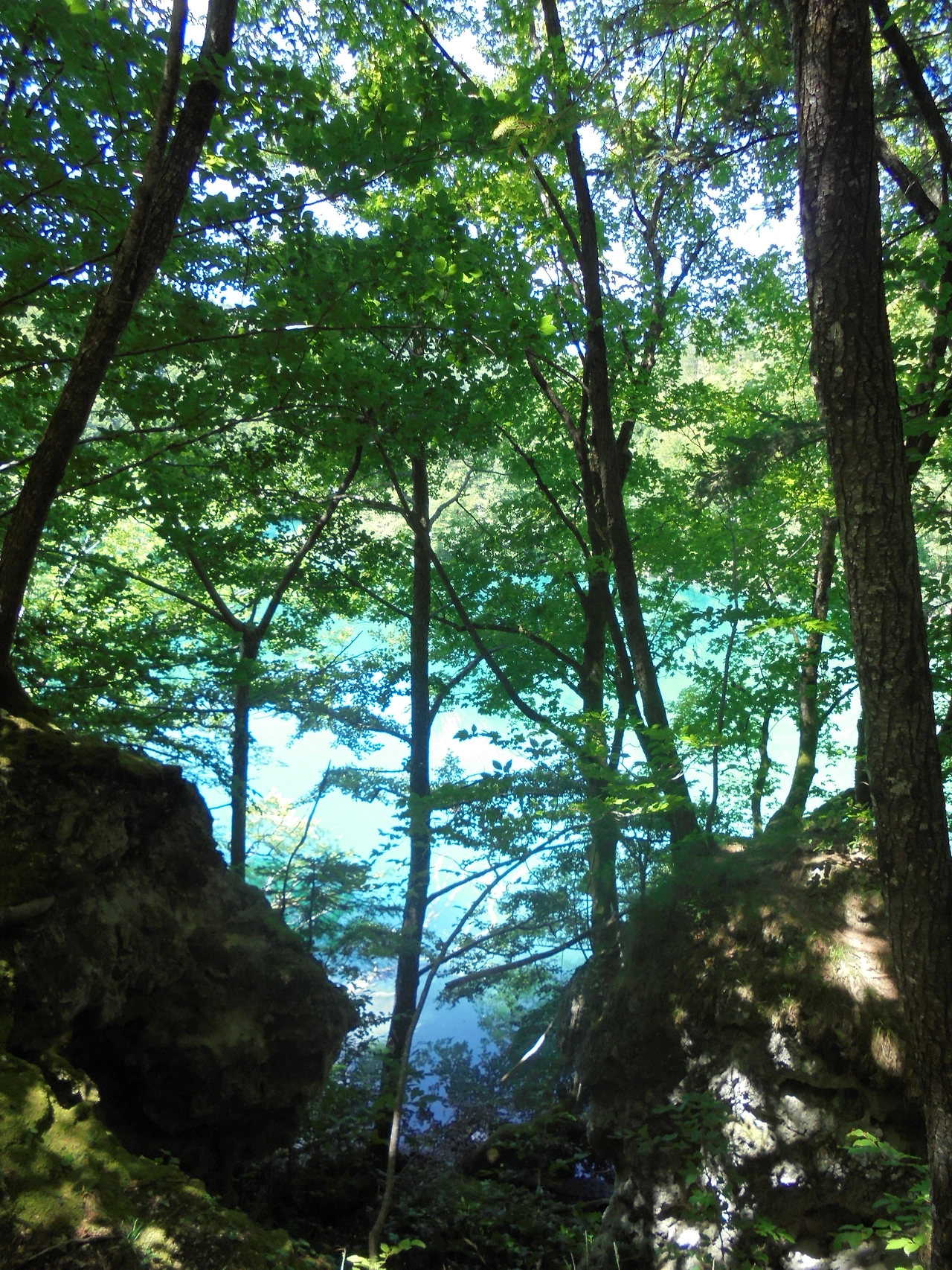 20170728 40일간 유럽15개국 여행 크로아티아 플리트비체 호수 국립공원 (194).JPG