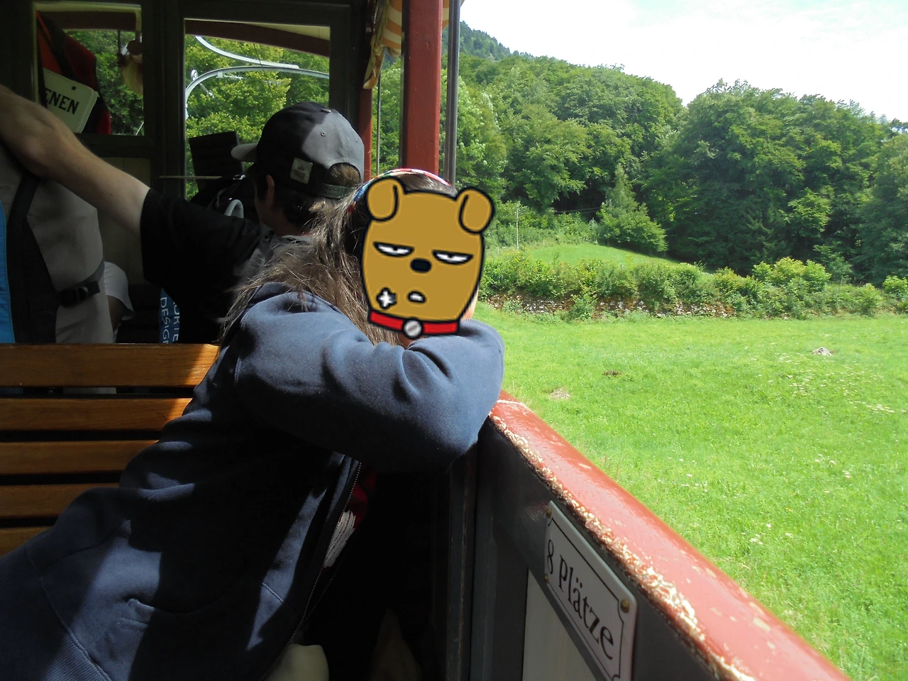 20170715 40일간 유럽15개국 여행 융프라우, Schynige Platte (199).JPG