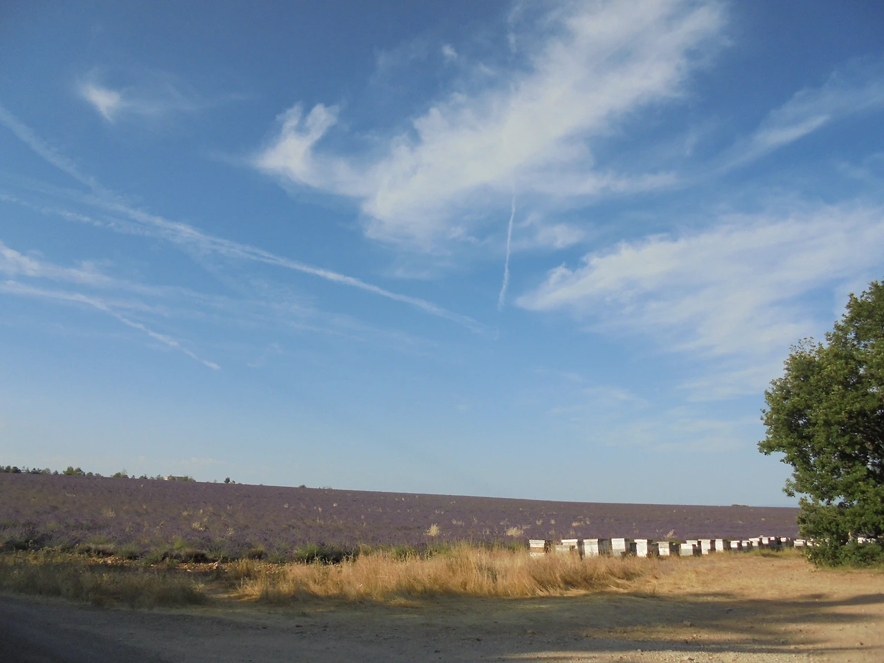 20170711 40일간 유럽15개국 여행 베흐동 호수, 무스띠에 생뜨 마히, 베흐동 협곡 (55).JPG