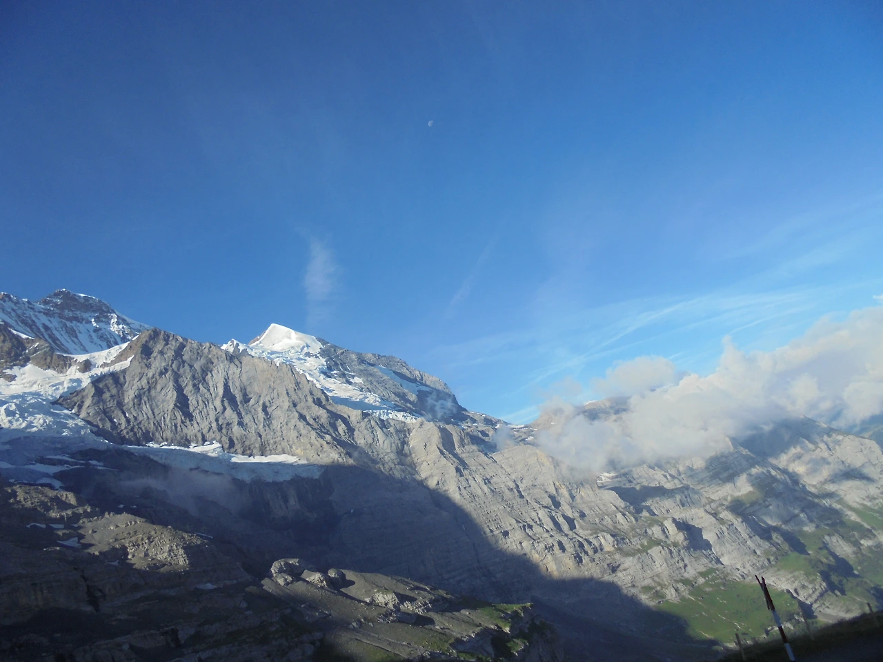 20170715 40일간 유럽15개국 여행 융프라우, Schynige Platte (27).JPG