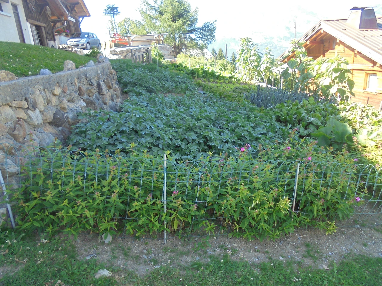 20170716 40일간 유럽15개국 여행 스위스 인터라켄에서 제네바를 거쳐 프랑스쪽 몽블랑 (80).JPG