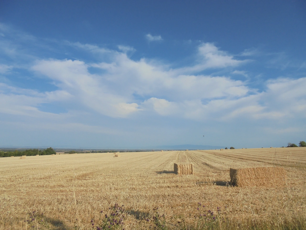 20170711 40일간 유럽15개국 여행 베흐동 호수, 무스띠에 생뜨 마히, 베흐동 협곡 (53).JPG