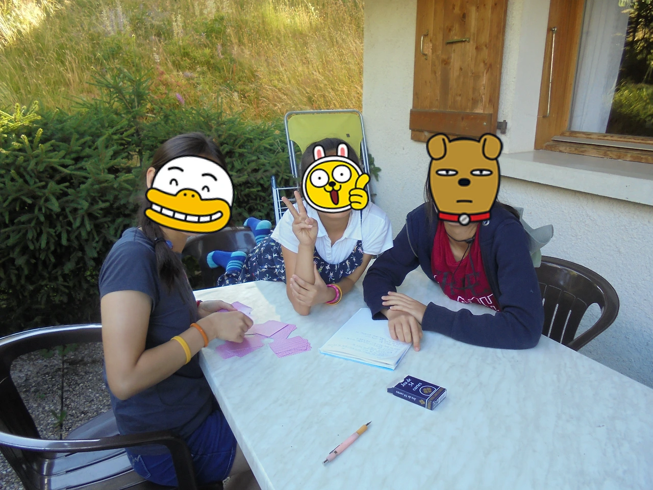 20170716 40일간 유럽15개국 여행 스위스 인터라켄에서 제네바를 거쳐 프랑스쪽 몽블랑 (83).JPG