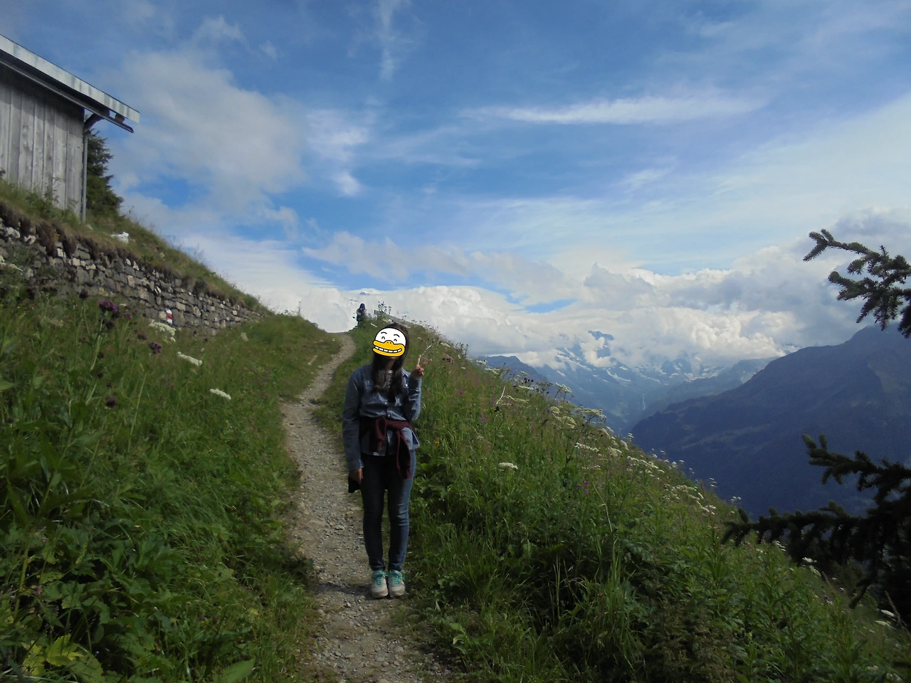 20170715 40일간 유럽15개국 여행 융프라우, Schynige Platte (274).JPG