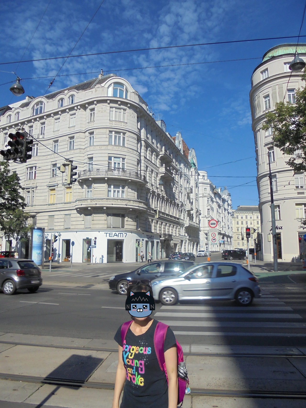 20170730 40일간 유럽15개국 여행 오스트리아 비엔나(현대미술관,슈테판대성당,Hofburg궁전,시청,의회,Albertina,오페라극장,벨베데레궁전,쇤브룬궁전) (18).JPG