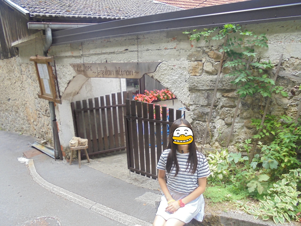 20170727 40일간 유럽15개국 여행 크로아티아 로빈에서 라스토케 거쳐 플리트비체까지 (107).JPG