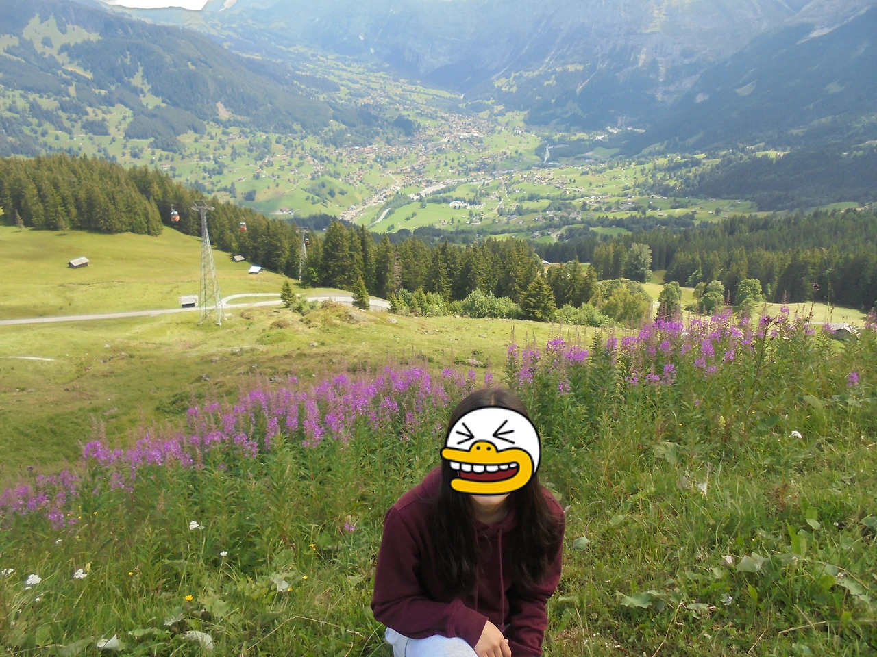 20170714 40일간 유럽15개국 여행 스위스 융프라우 기차와 곤돌라, 케이블카 타고 구경, Thun호수 (60).JPG